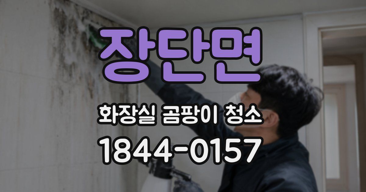 장단면 화장실 곰팡이 청소
