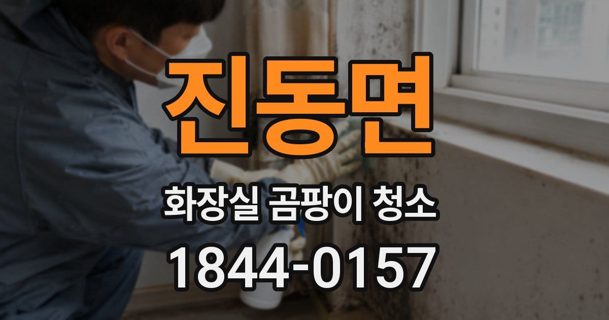 진동면 화장실 곰팡이 청소