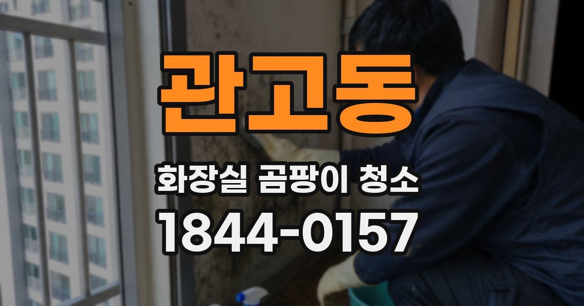 관고동 화장실 곰팡이 청소
