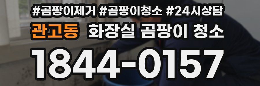 관고동 화장실 곰팡이 청소