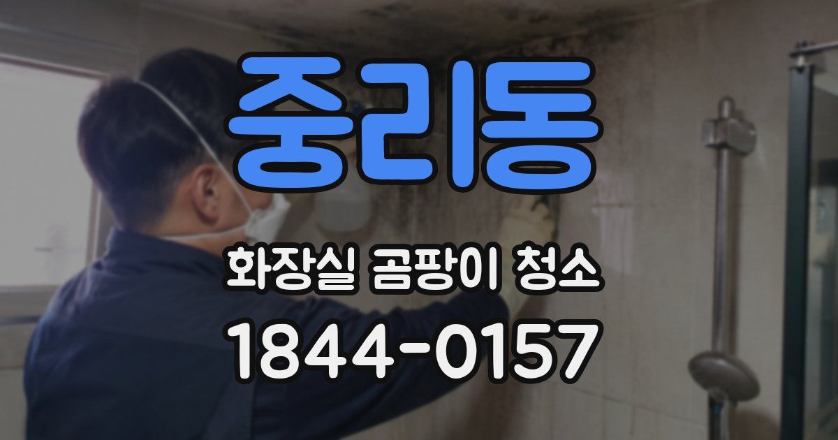 중리동 화장실 곰팡이 청소