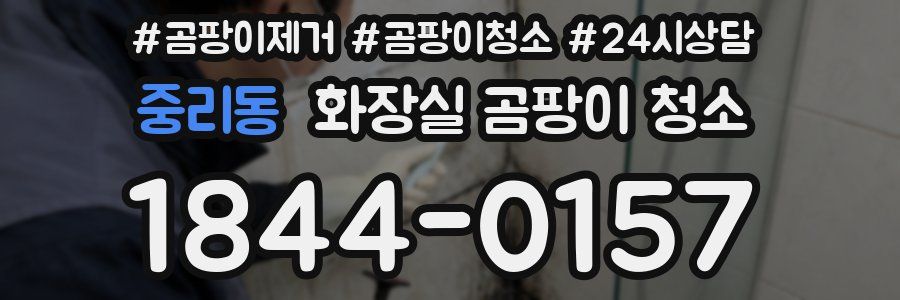중리동 화장실 곰팡이 청소