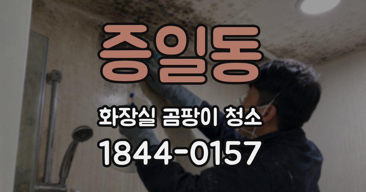 증일동 화장실 곰팡이 청소