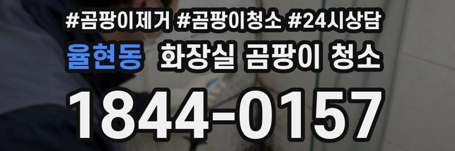 율현동 화장실 곰팡이 청소