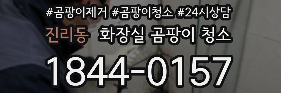 진리동 화장실 곰팡이 청소