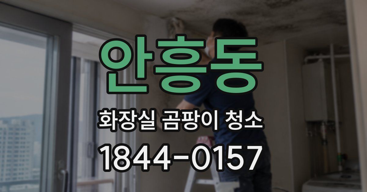 안흥동 화장실 곰팡이 청소
