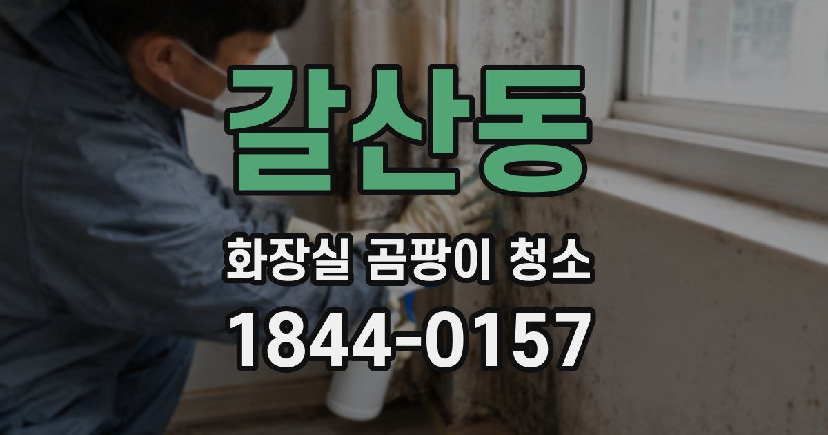 갈산동 화장실 곰팡이 청소
