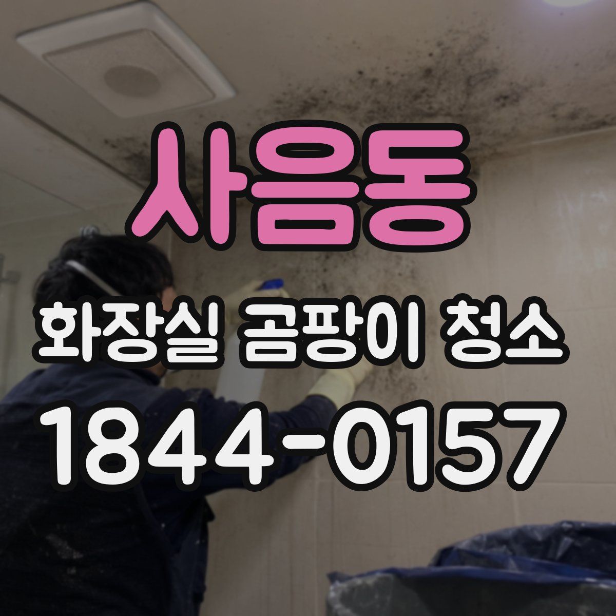 사음동 화장실 곰팡이 청소