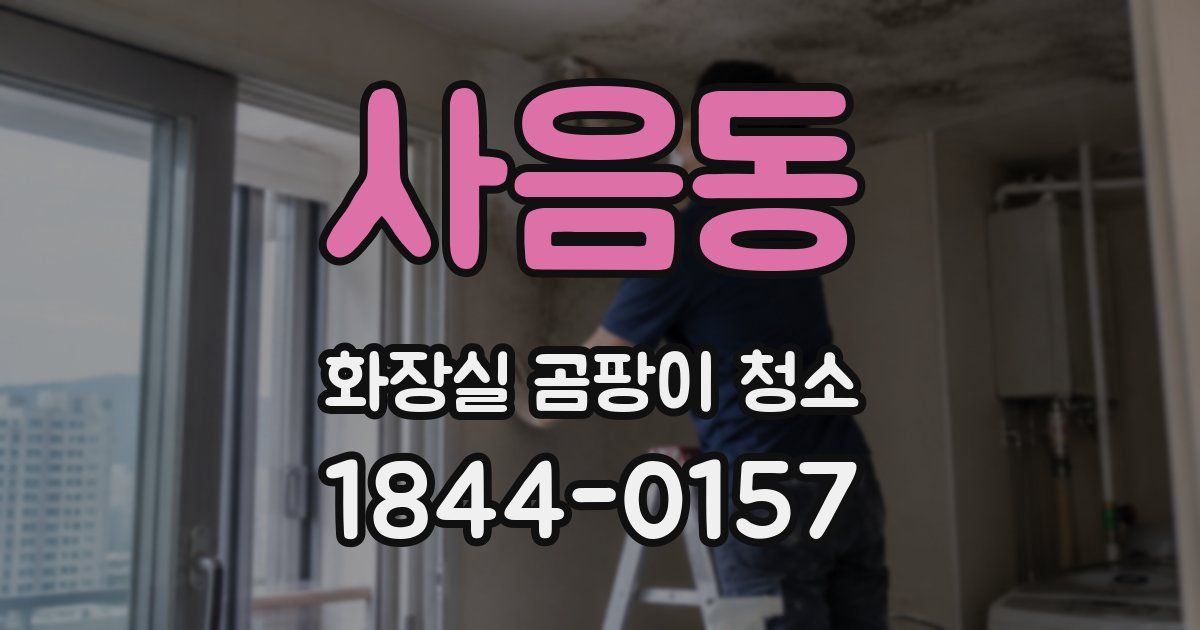 사음동 화장실 곰팡이 청소