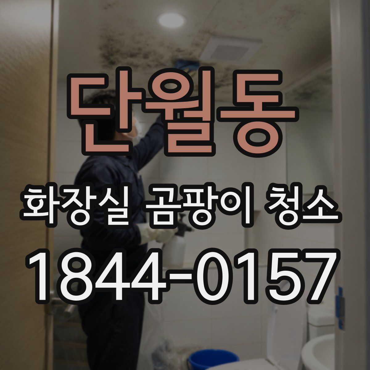 단월동 화장실 곰팡이 청소