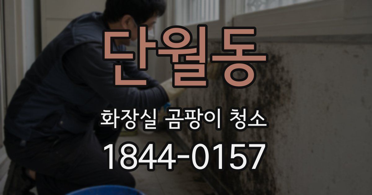 단월동 화장실 곰팡이 청소