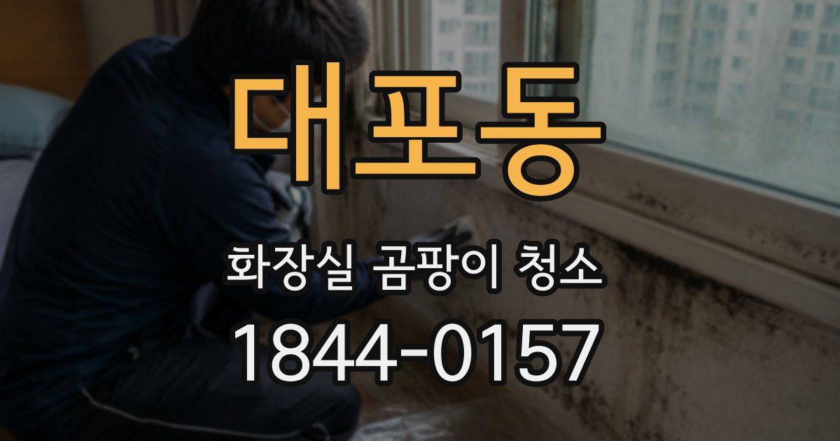 대포동 화장실 곰팡이 청소