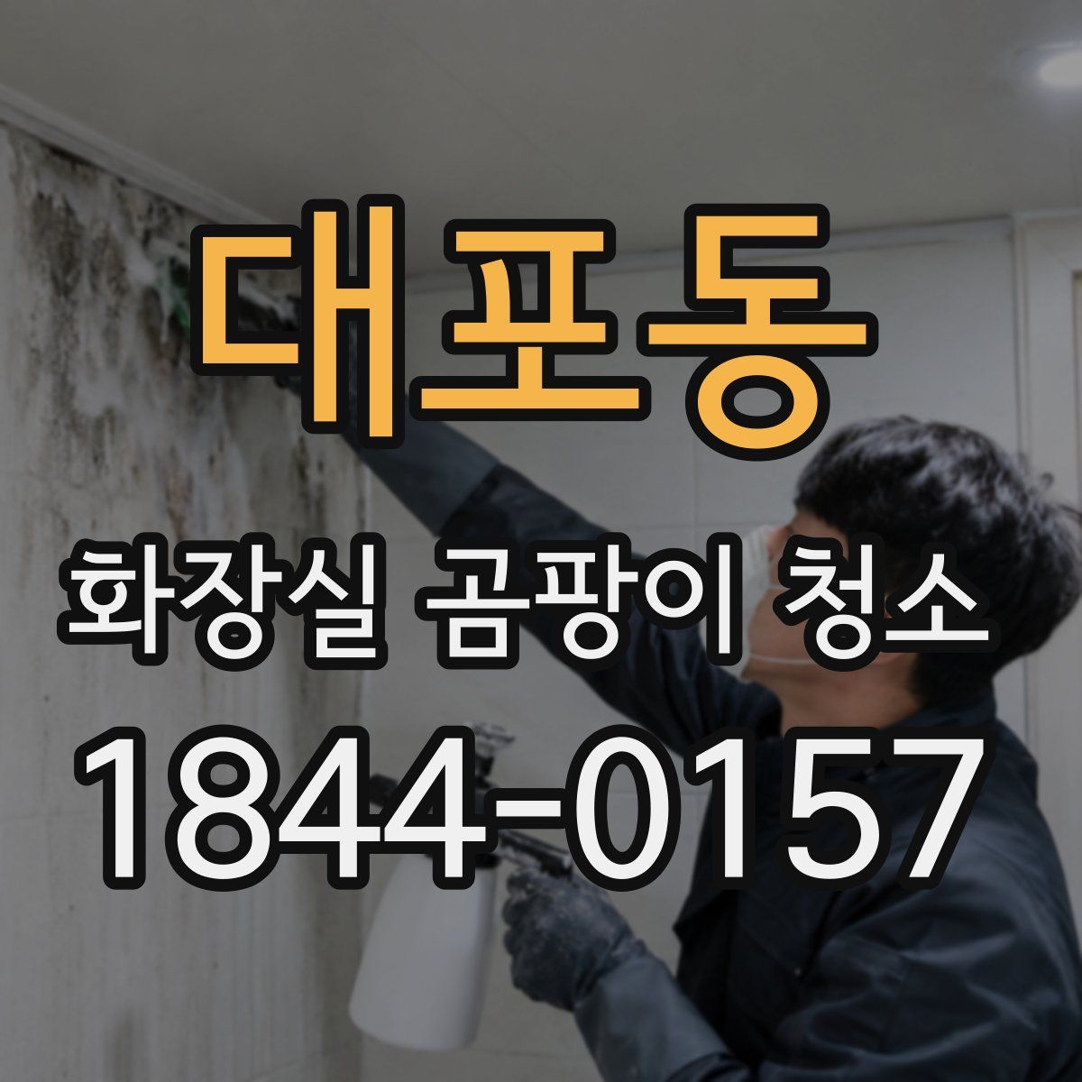 대포동 화장실 곰팡이 청소