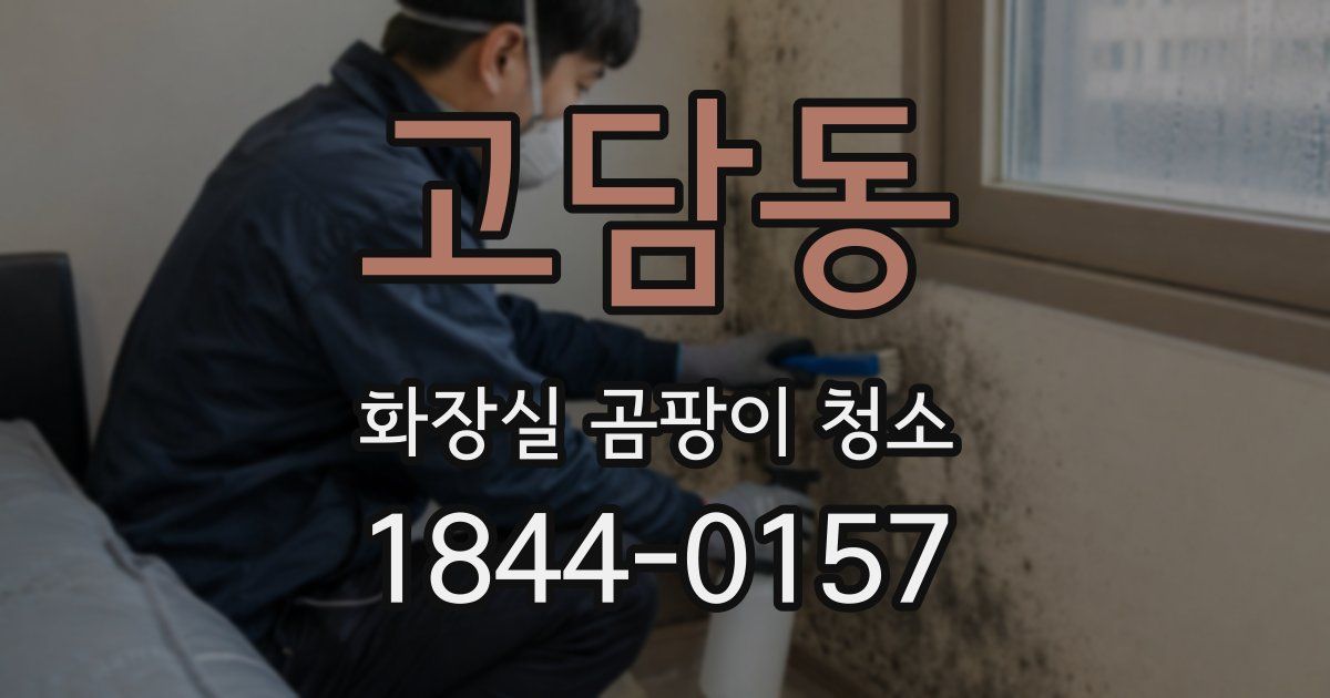 고담동 화장실 곰팡이 청소
