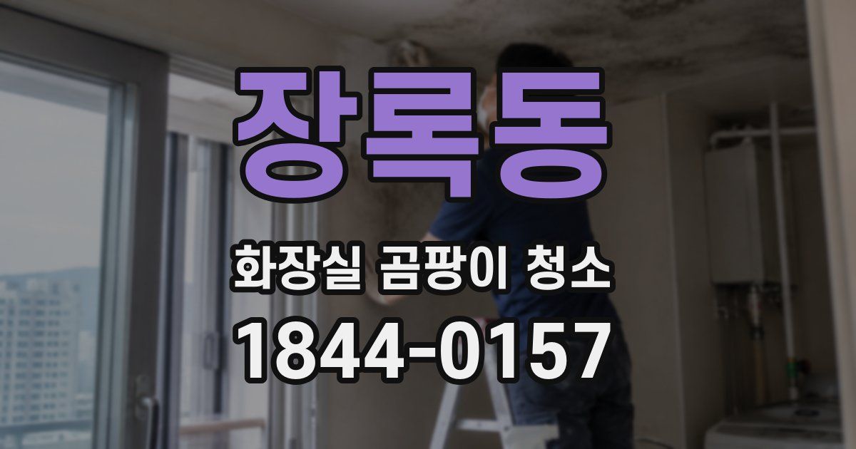 장록동 화장실 곰팡이 청소