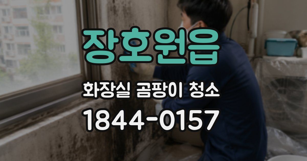 장호원읍 화장실 곰팡이 청소