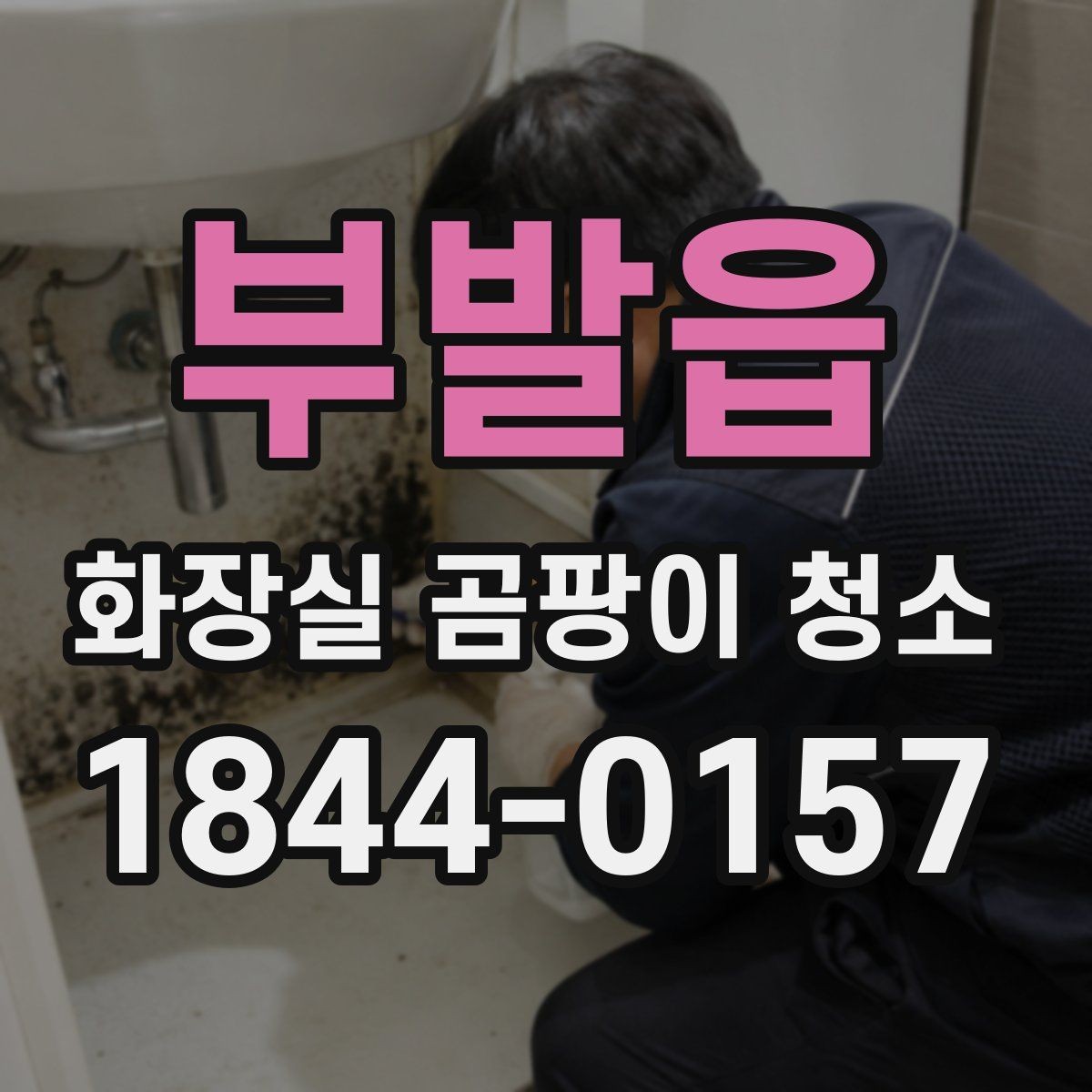 부발읍 화장실 곰팡이 청소 실리콘 틈 오염을 줄이는 실전 관리법