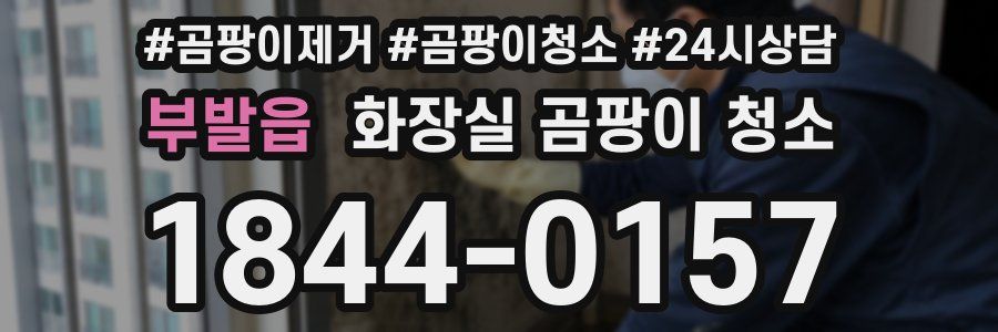 부발읍 화장실 곰팡이 청소