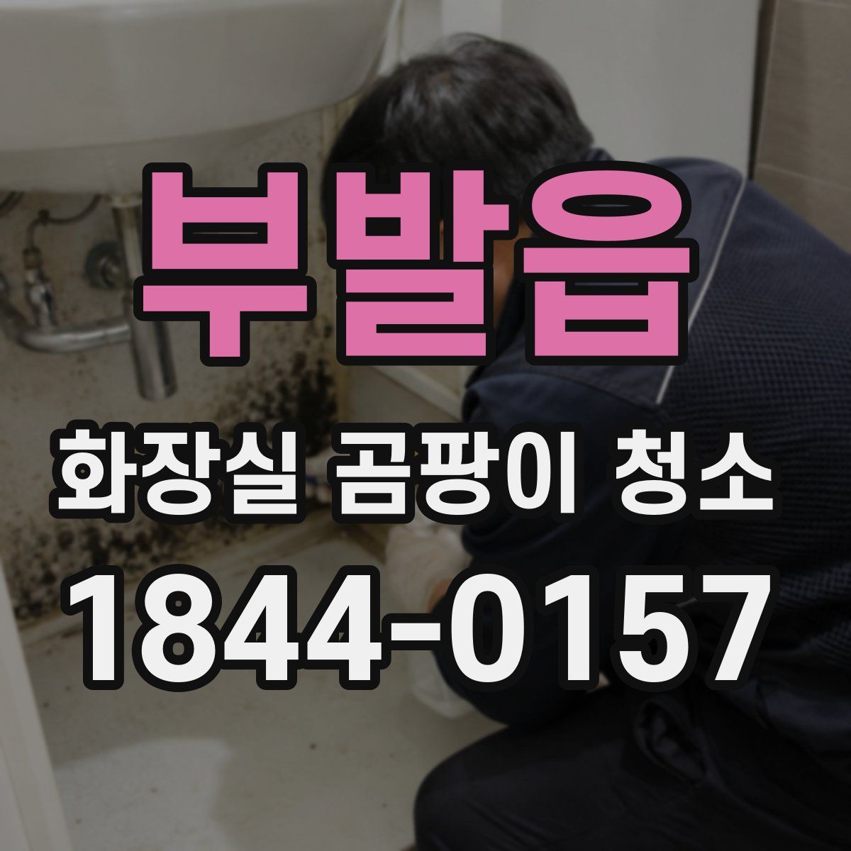 부발읍 화장실 곰팡이 청소