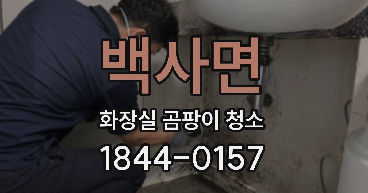 백사면 화장실 곰팡이 청소
