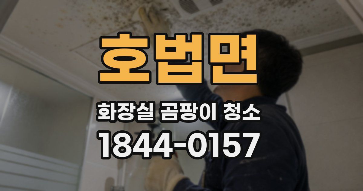 호법면 화장실 곰팡이 청소