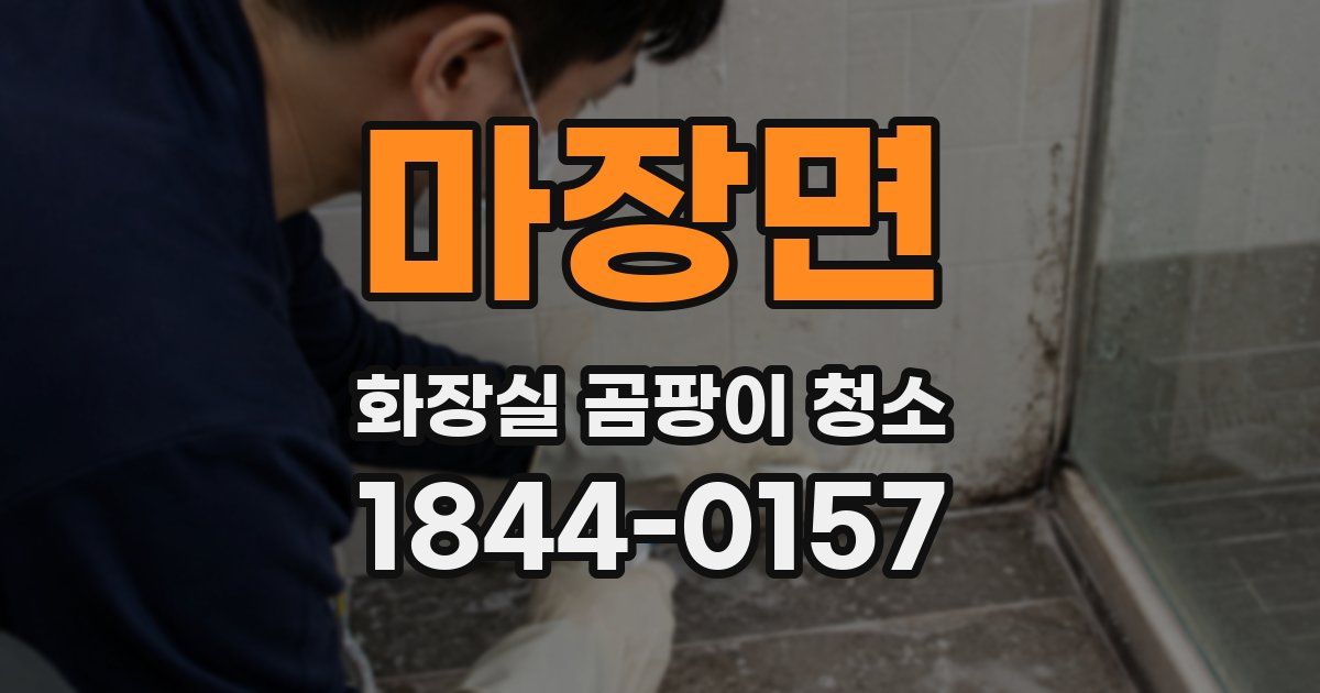 마장면 화장실 곰팡이 청소
