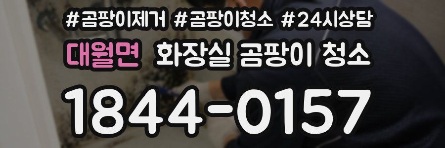 대월면 화장실 곰팡이 청소