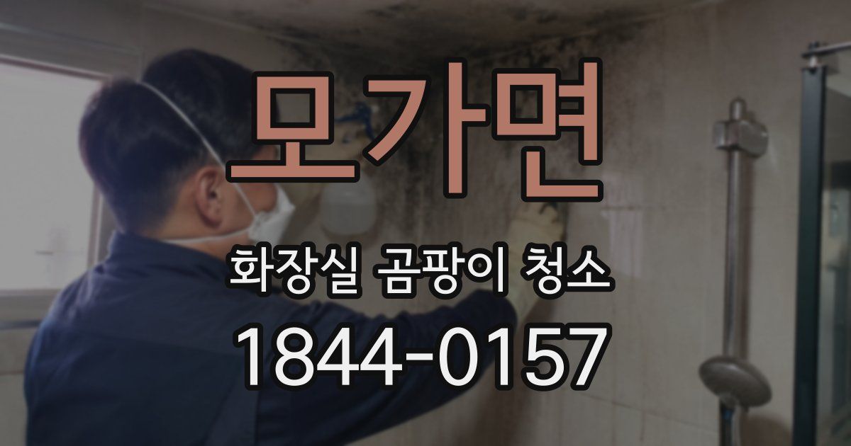 모가면 화장실 곰팡이 청소
