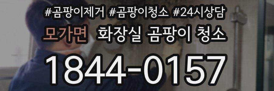 모가면 화장실 곰팡이 청소