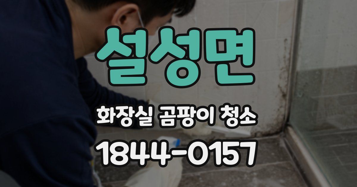 설성면 화장실 곰팡이 청소