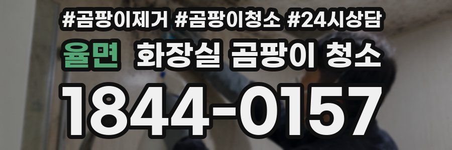 율면 화장실 곰팡이 청소