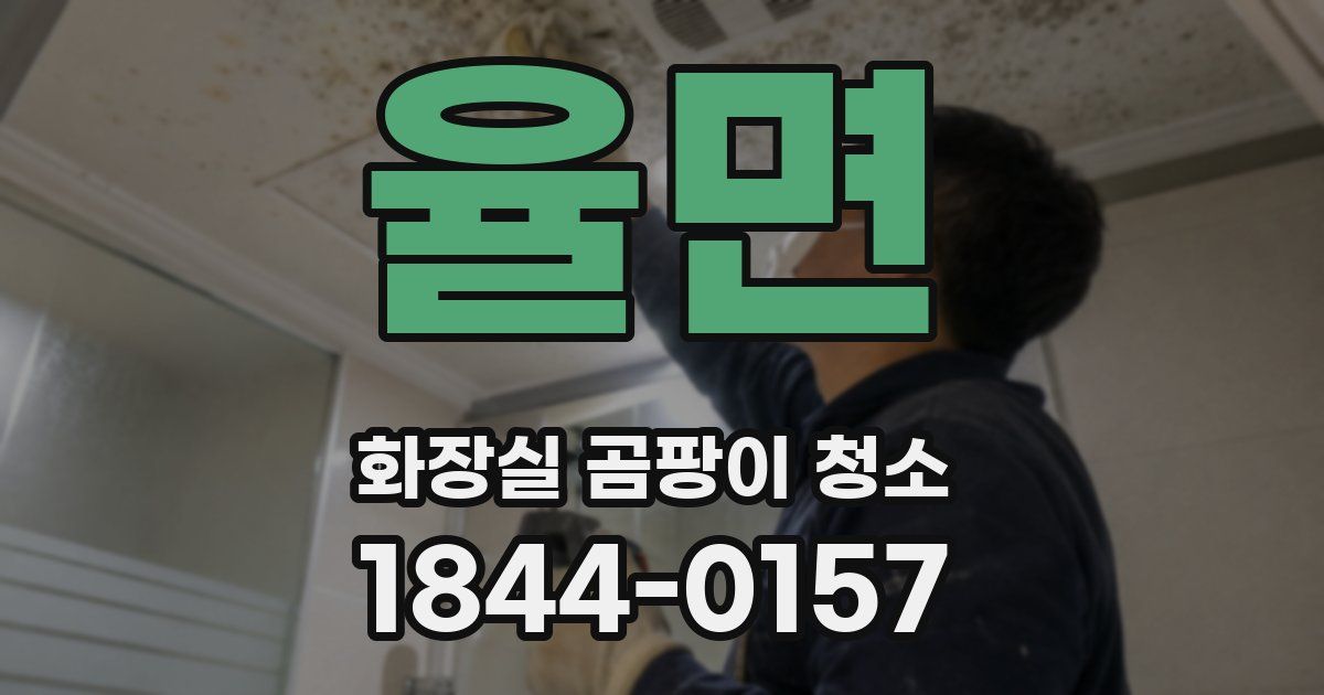 율면 화장실 곰팡이 청소
