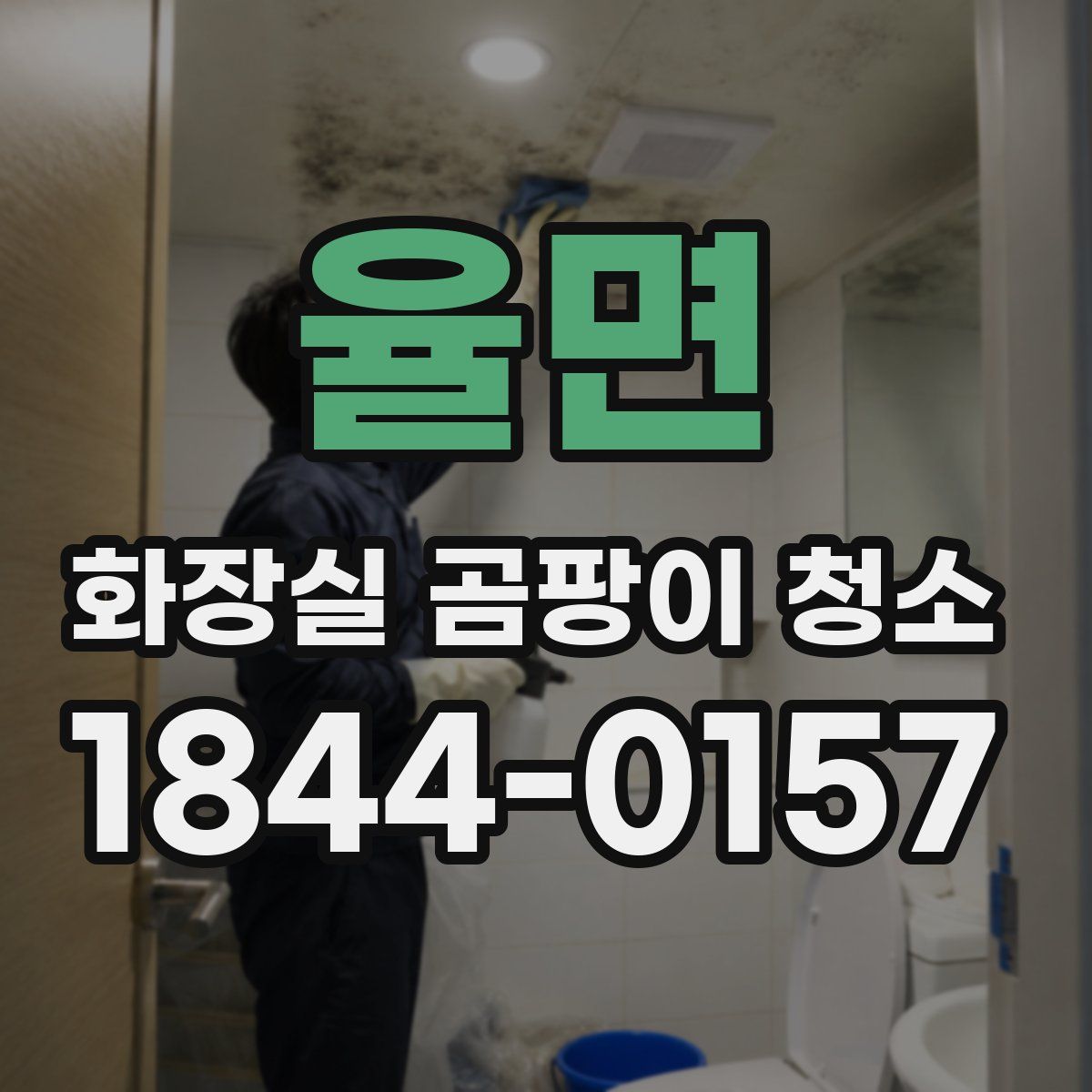 율면 화장실 곰팡이 청소