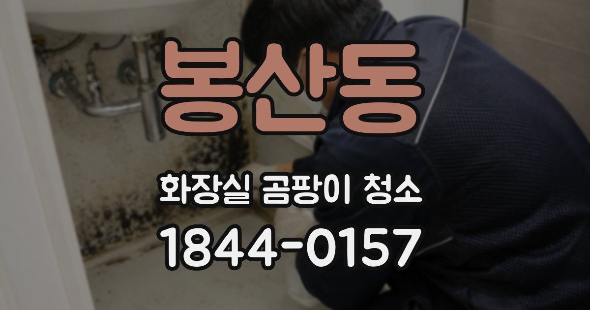 봉산동 화장실 곰팡이 청소