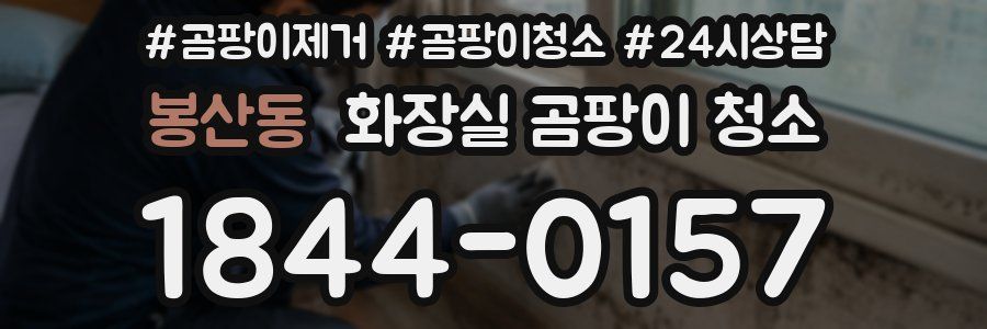 봉산동 화장실 곰팡이 청소