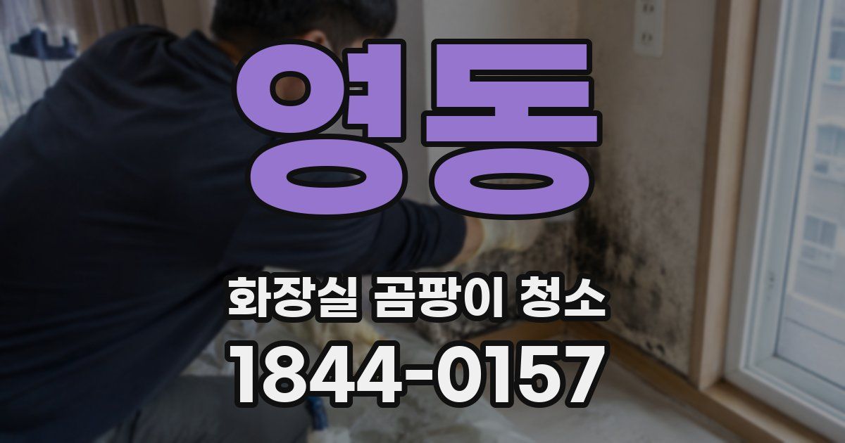 영동 화장실 곰팡이 청소
