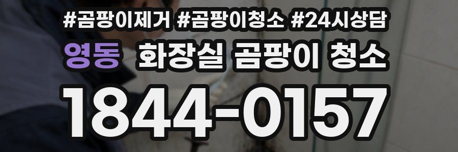 영동 화장실 곰팡이 청소