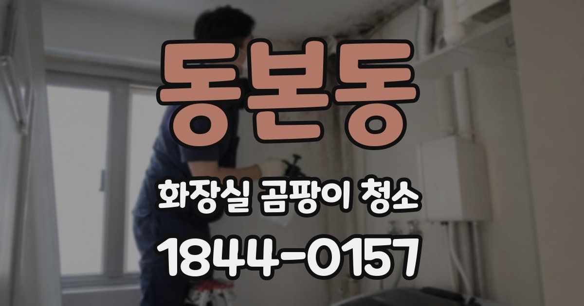 동본동 화장실 곰팡이 청소