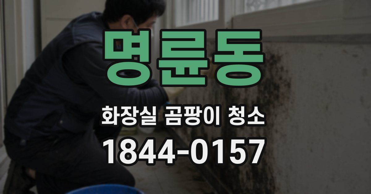 명륜동 화장실 곰팡이 청소