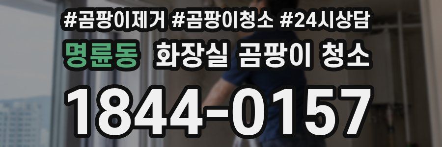 명륜동 화장실 곰팡이 청소