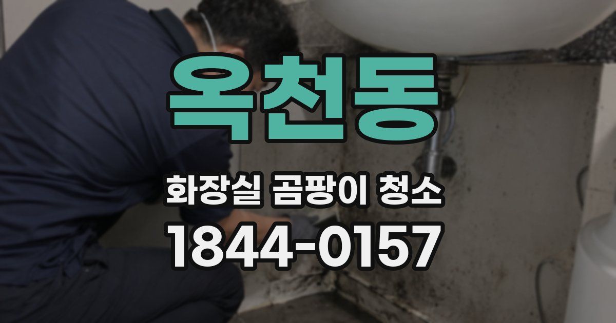 옥천동 화장실 곰팡이 청소