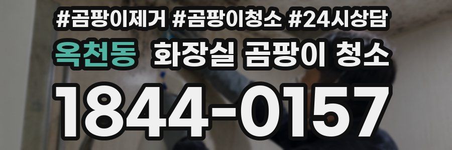 옥천동 화장실 곰팡이 청소