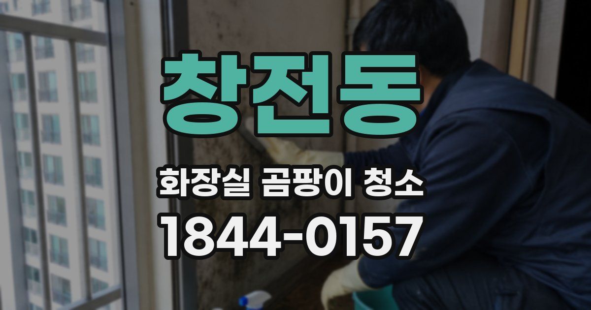 창전동 화장실 곰팡이 청소