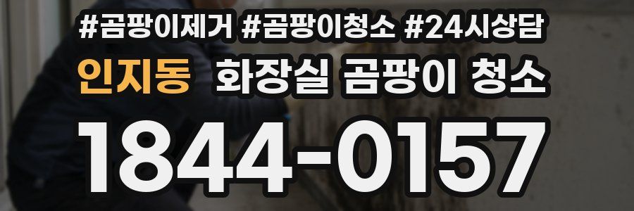 인지동 화장실 곰팡이 청소
