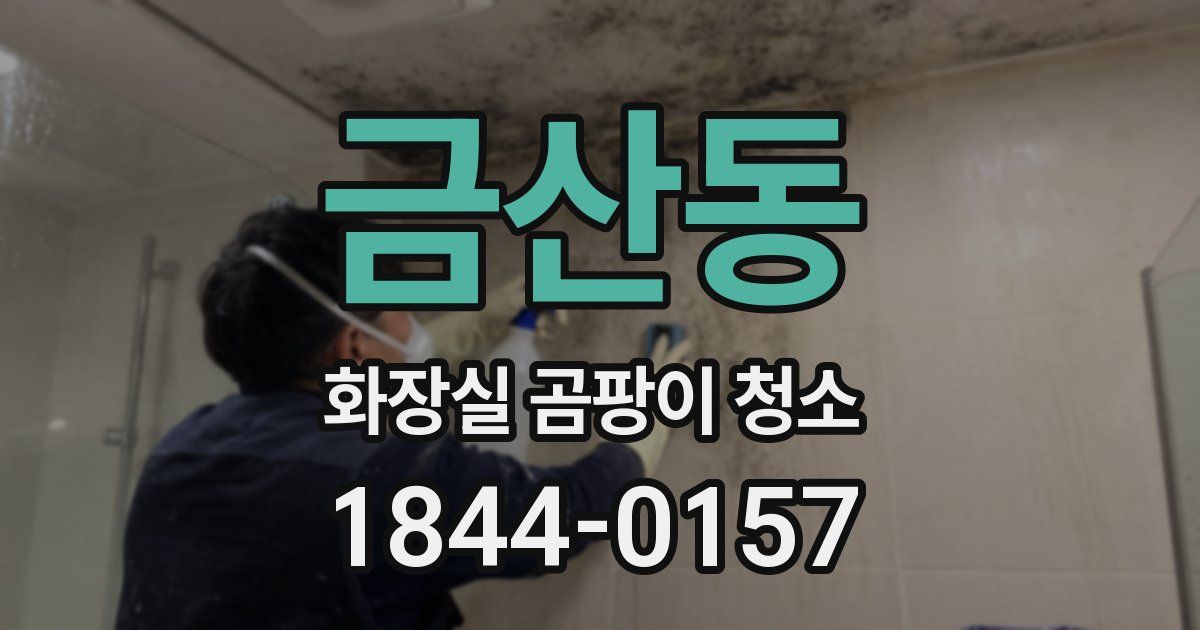 금산동 화장실 곰팡이 청소
