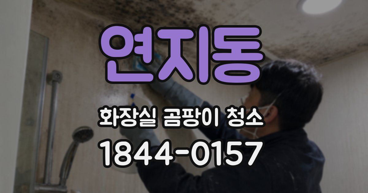 연지동 화장실 곰팡이 청소