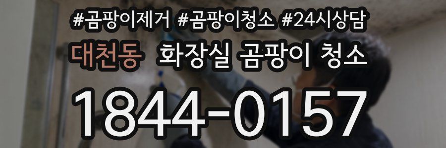 대천동 화장실 곰팡이 청소