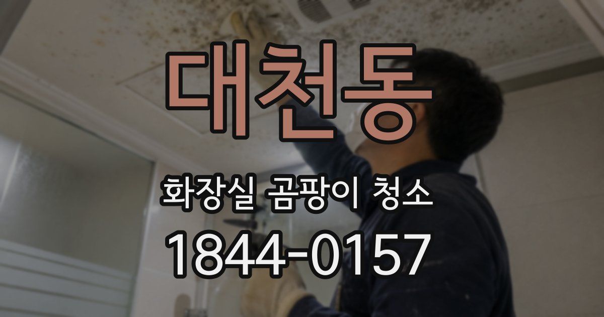 대천동 화장실 곰팡이 청소