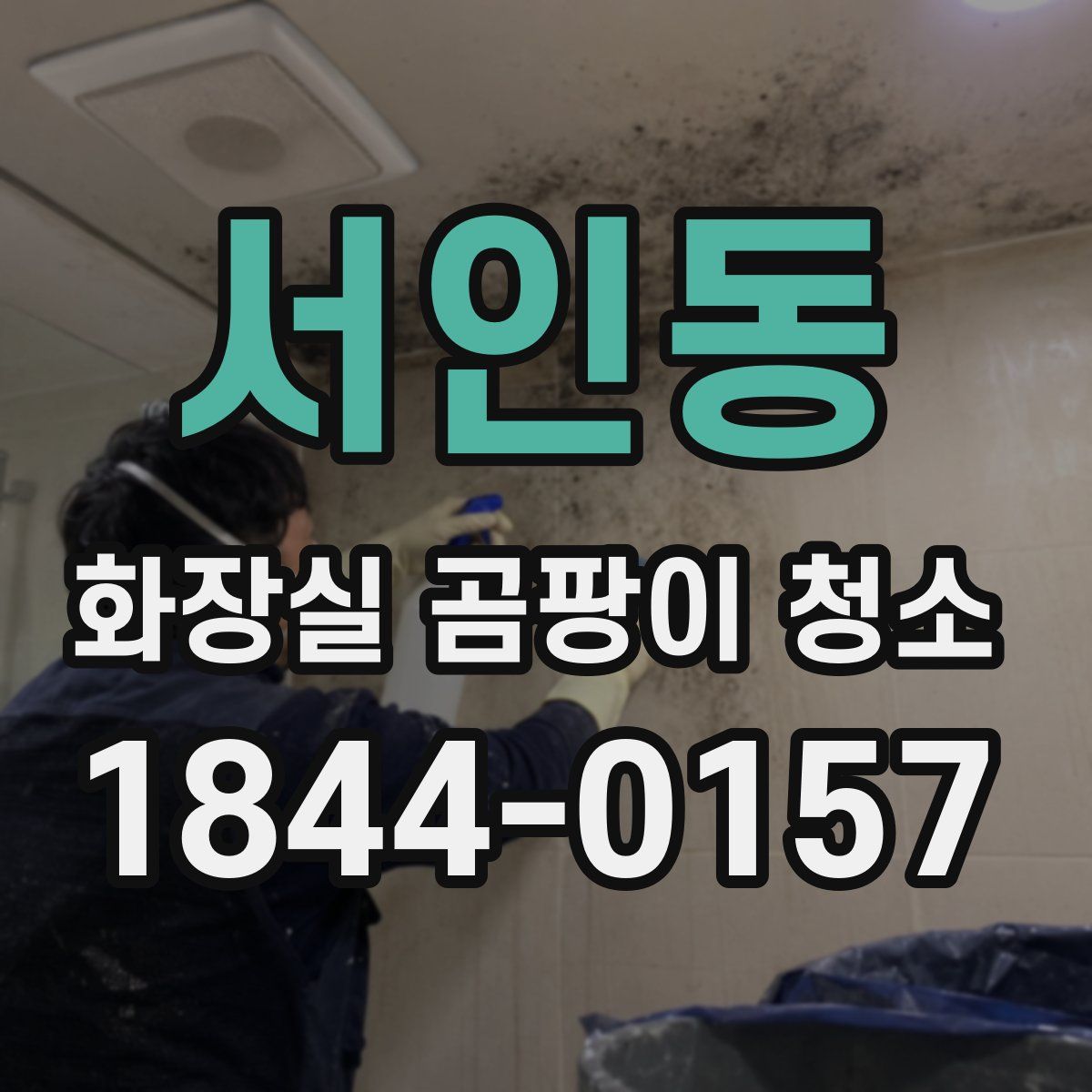 서인동 화장실 곰팡이 청소