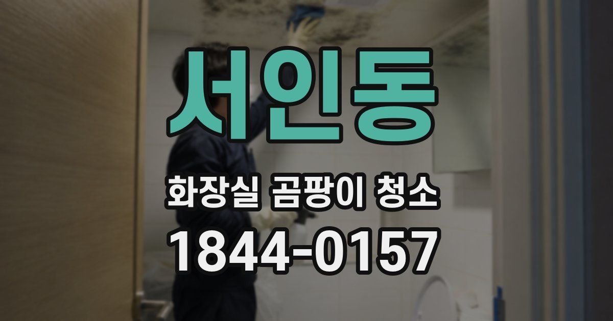 서인동 화장실 곰팡이 청소